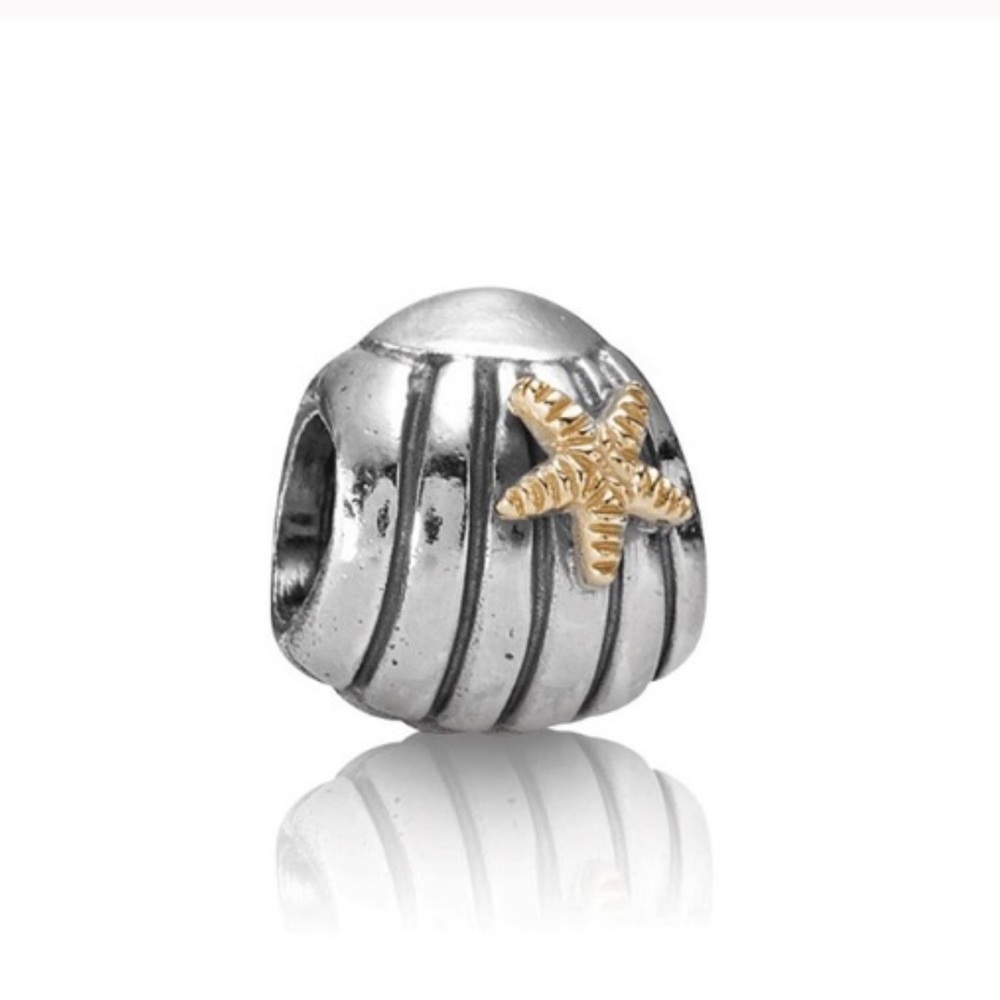 Pandora charm